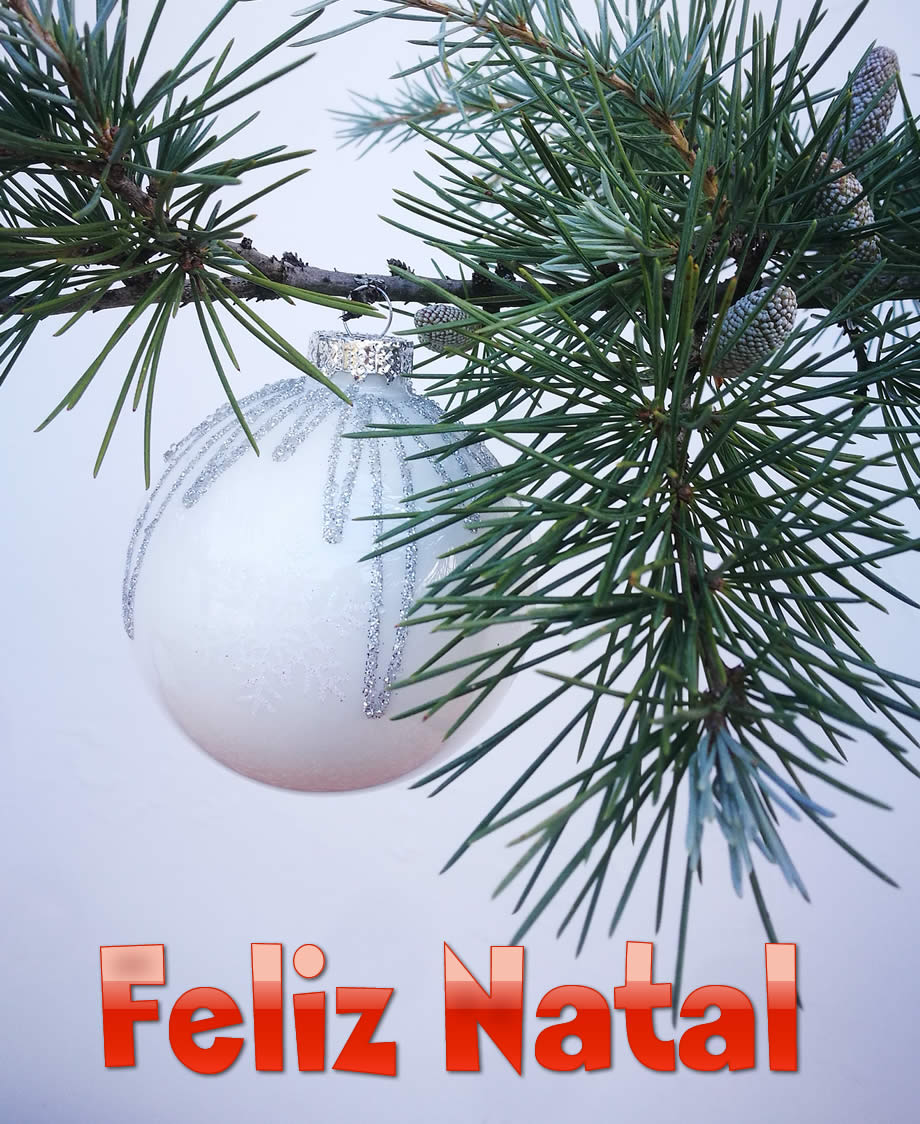 Imagem Feliz Natal com uma bola num ramo de pinheiro
